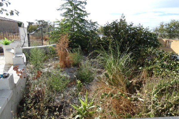 Rural Property – Jamula
