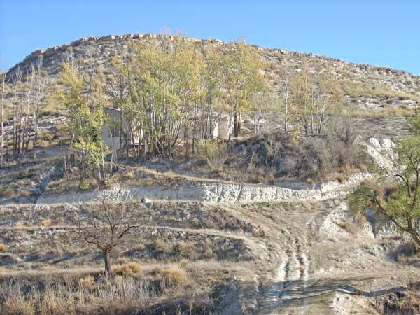 Rural Property – La Alqueria