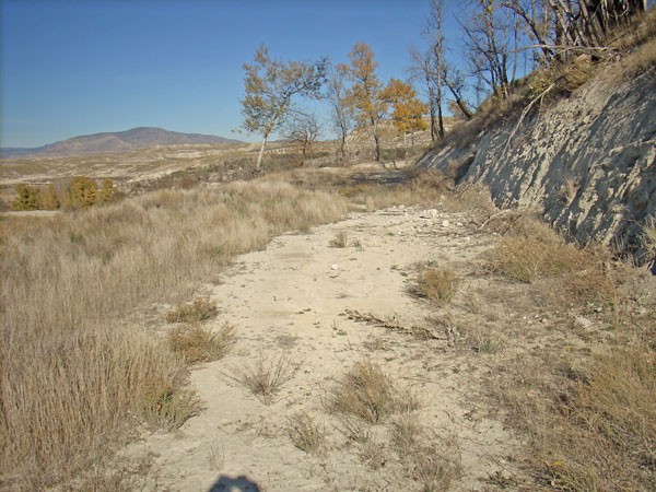 Rural Property – La Alqueria