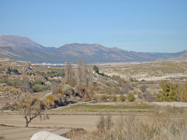 Rural Property – La Alqueria