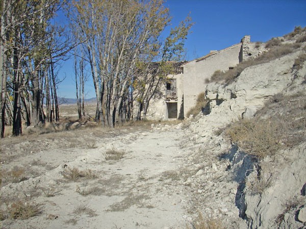Rural Property – La Alqueria