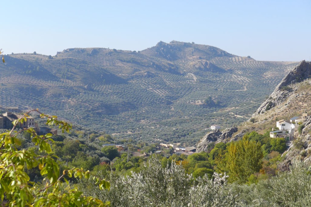 Rural Property – Don Pedro