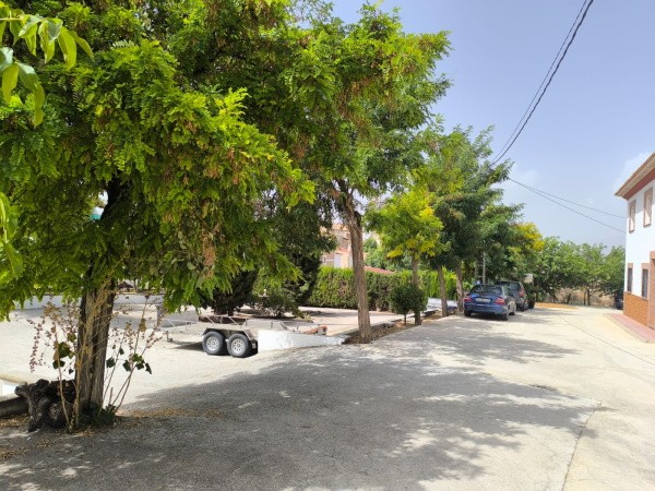 Village Property – Almontaras