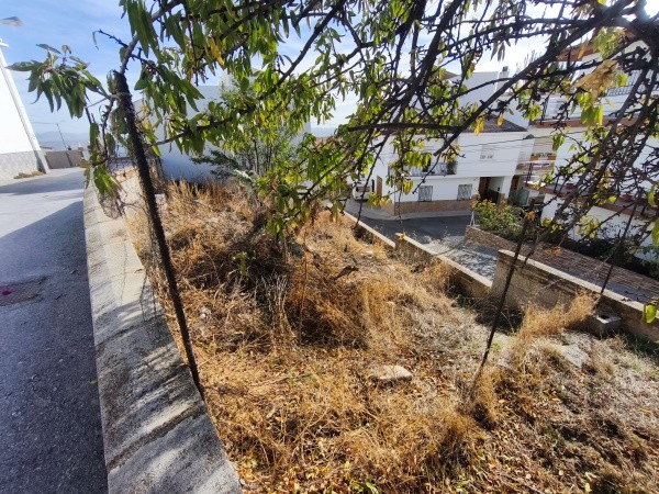 Cave House – Baza
