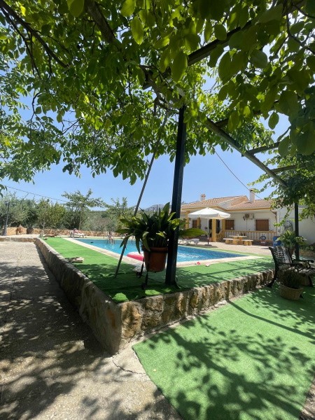 Rural Property – Quesada