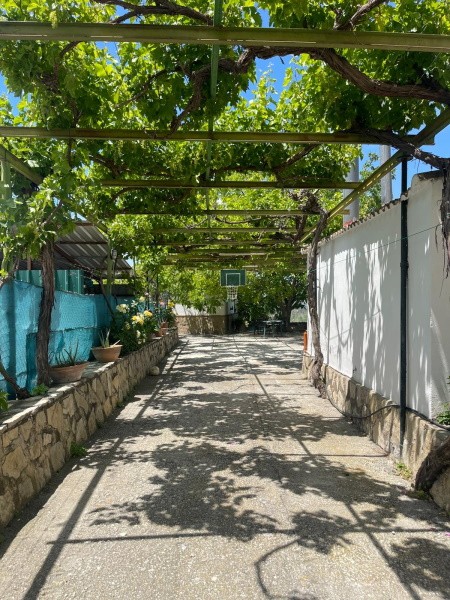 Rural Property – Quesada