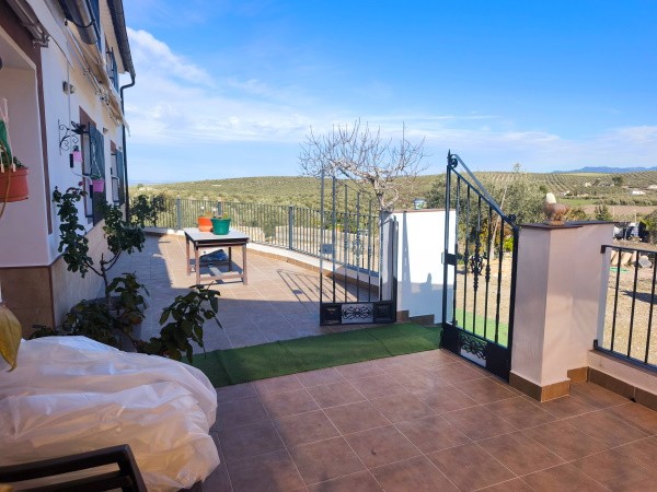 Rural Property – Quesada