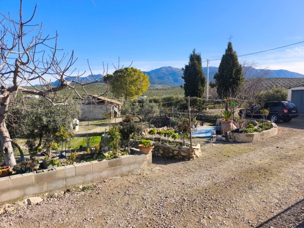Rural Property – Quesada