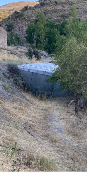 Rural Property – Gor