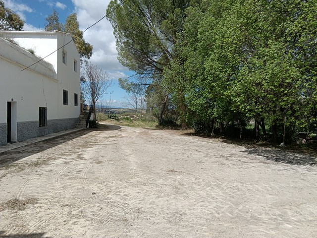 Rural Property – Benamaurel