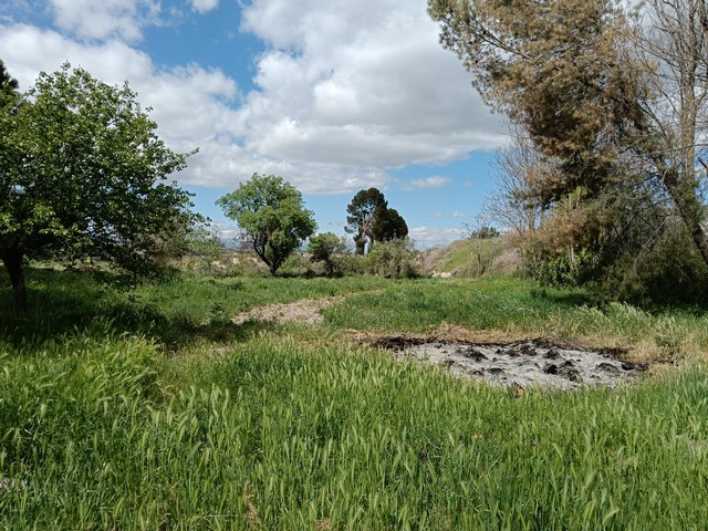 Rural Property – Benamaurel