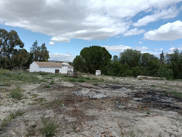 Rural Property – Benamaurel