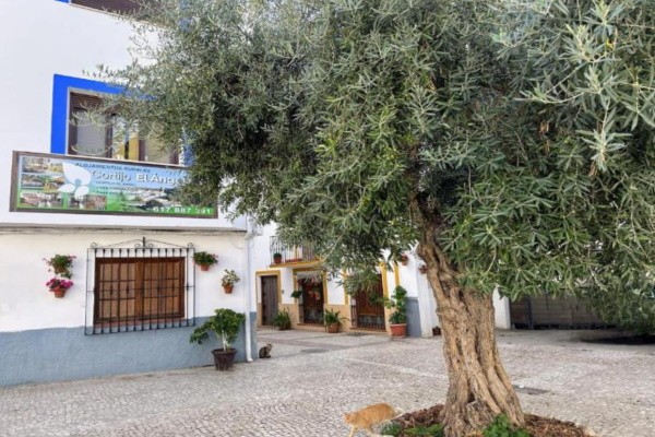 Village Property – Castril