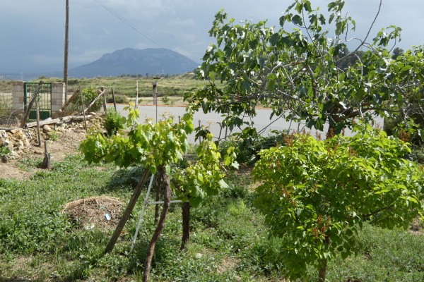 Cave House – Cortes de Baza