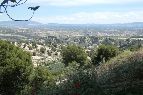 Cave House – Cortes de Baza