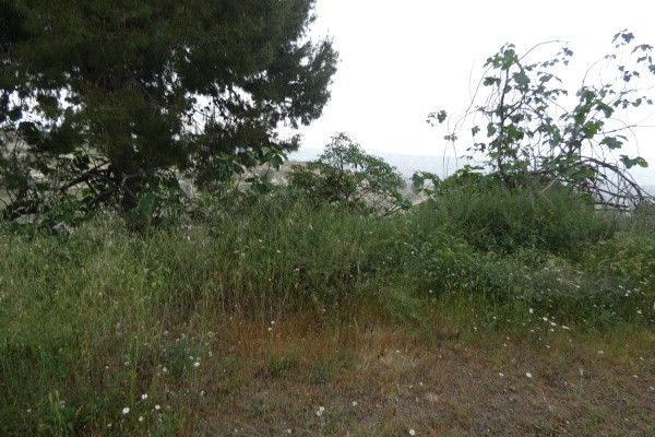 Cave House – Cortes de Baza