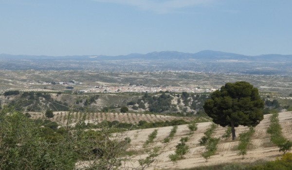 Cave House – Cortes de Baza