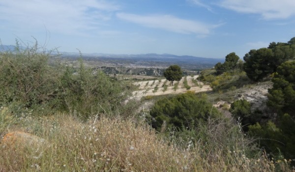 Cave House – Cortes de Baza