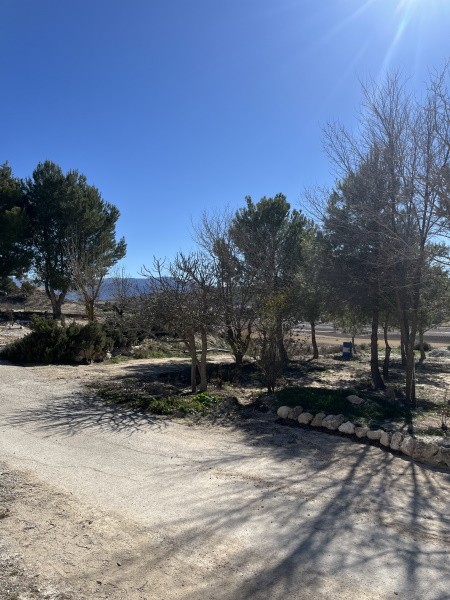 Cave House – Venta Micena