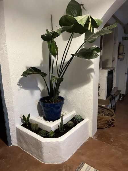 Cave House – Venta Micena