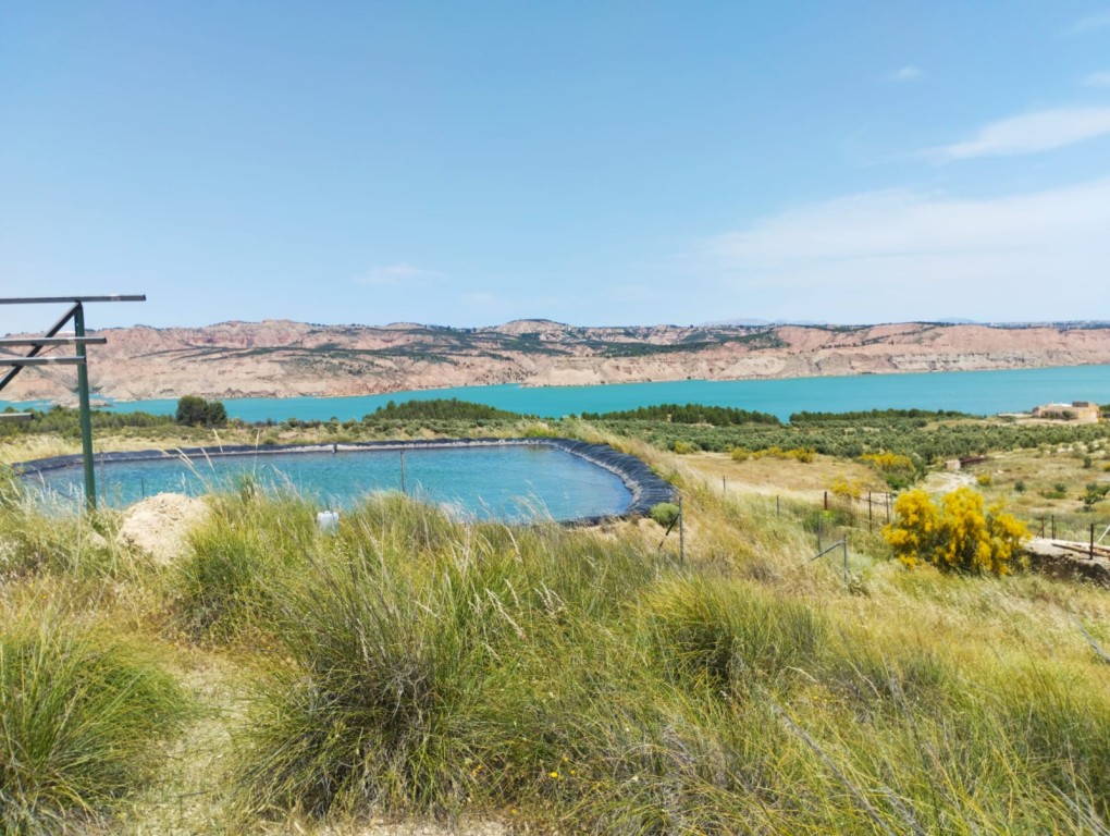 Land – Freila