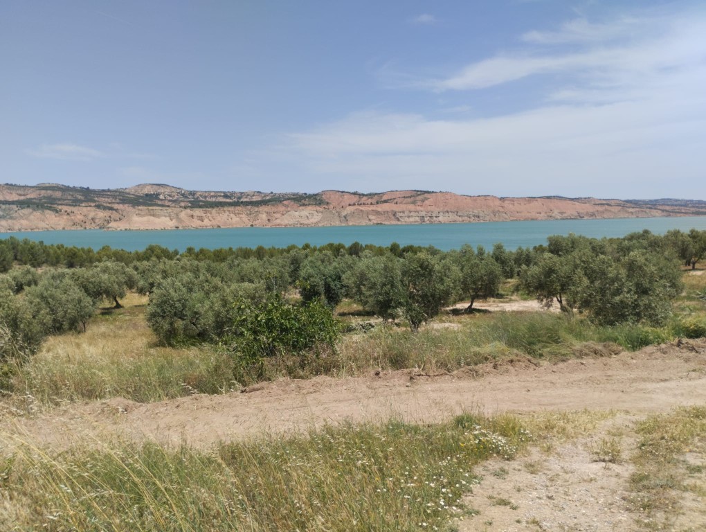 Land – Freila