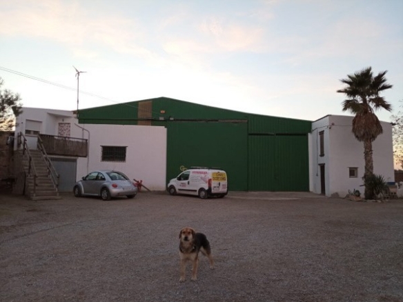 Finca – Baza
