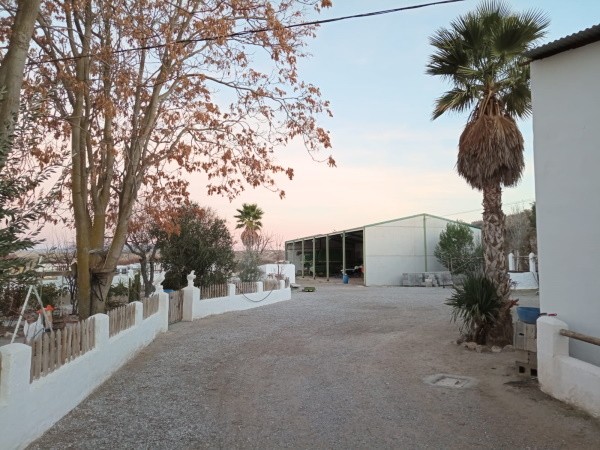 Finca – Baza