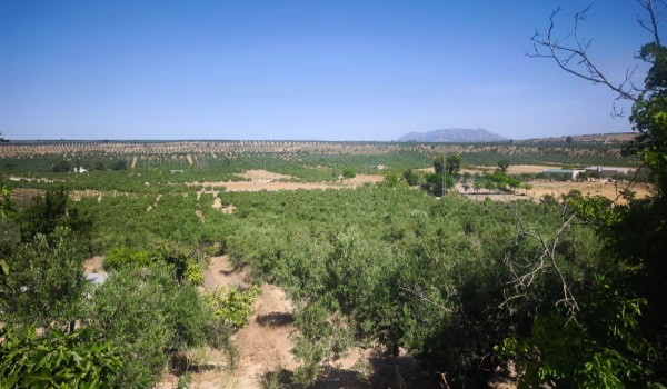 Cave House – Fontanar