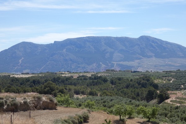 Cave House – Cuevas del Campo