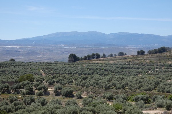 Cave House – Cuevas del Campo