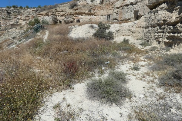 Cave House – Cuevas del Campo