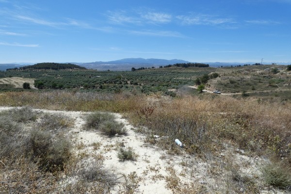 Cave House – Cuevas del Campo