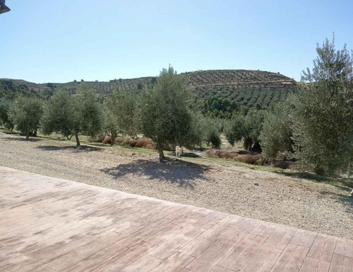 Sale of Country Estate CPFNT27 in Fontanar