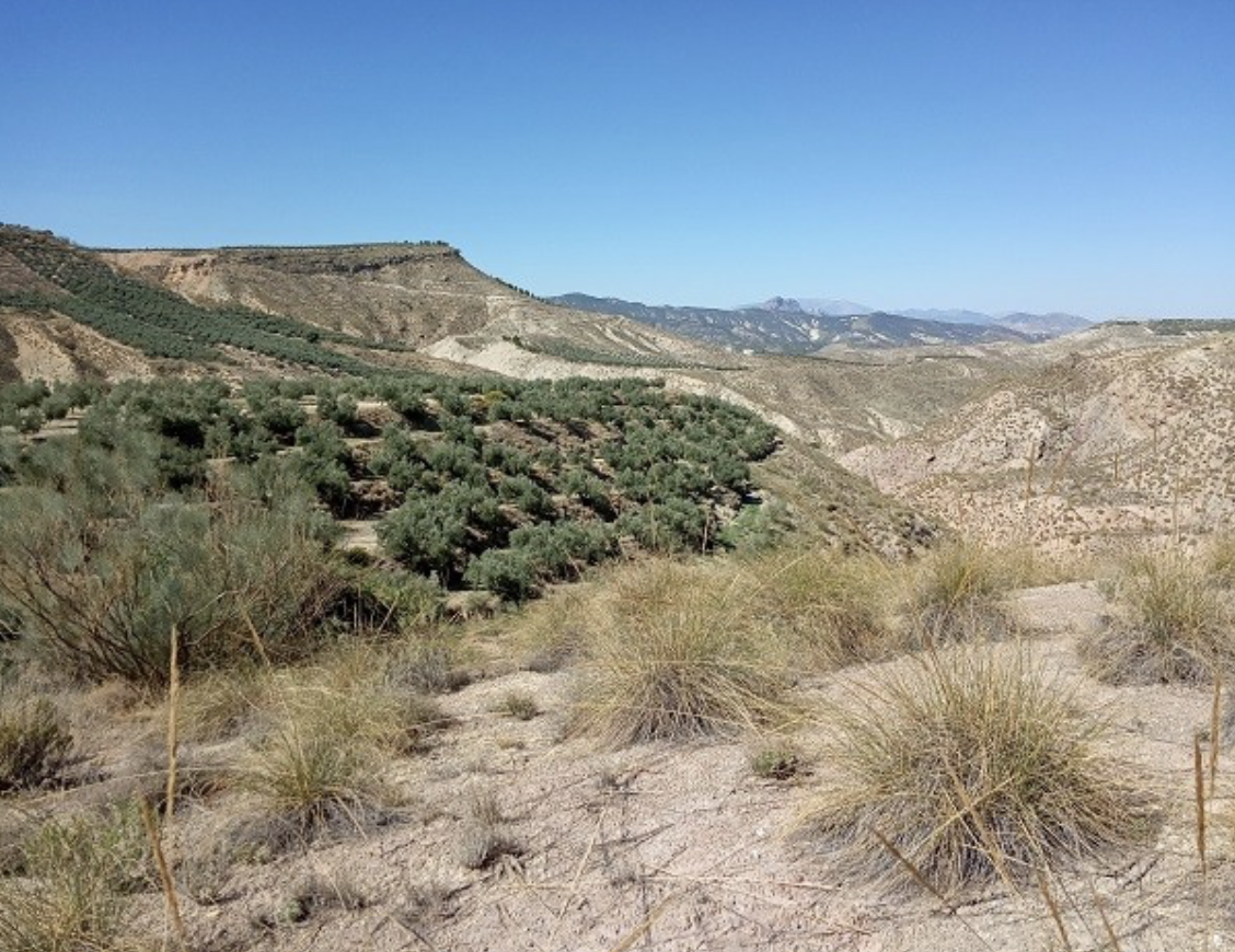 Sale of Country Estate CPFNT27 in Fontanar