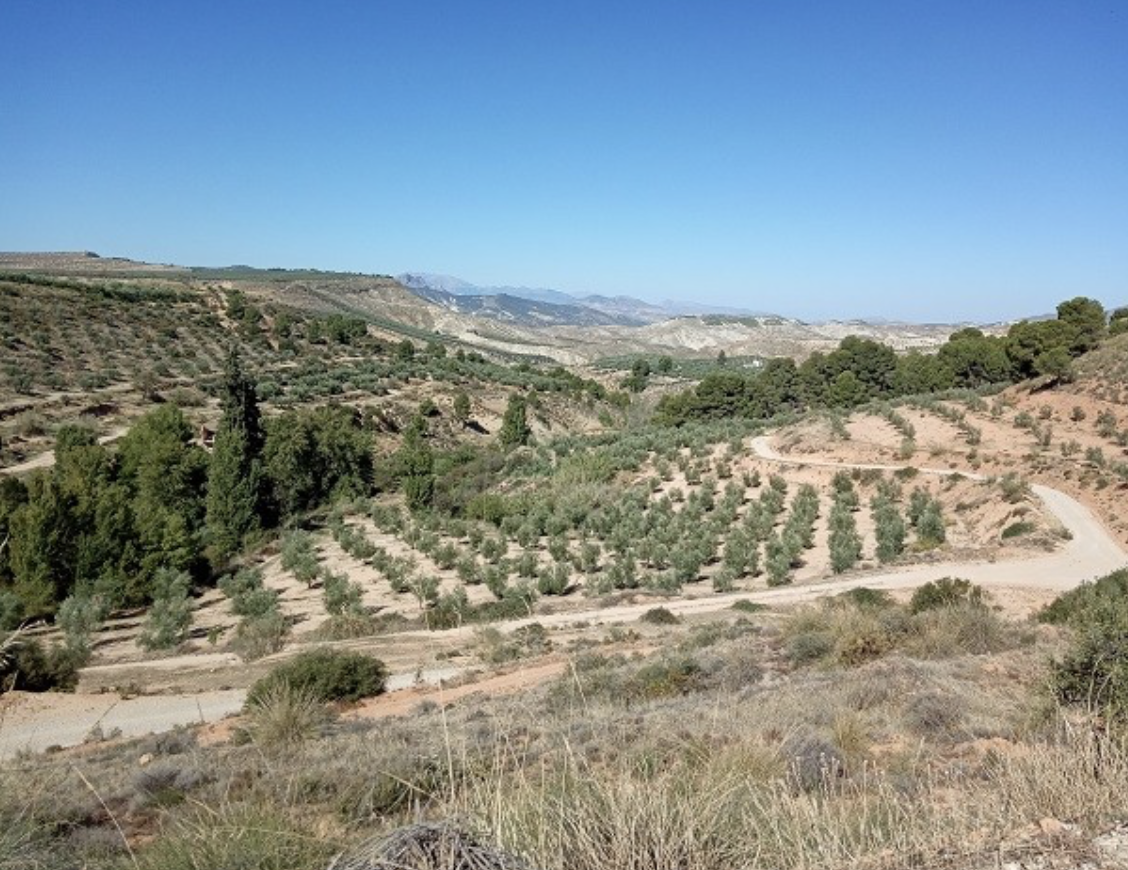 Sale of Country Estate CPFNT27 in Fontanar