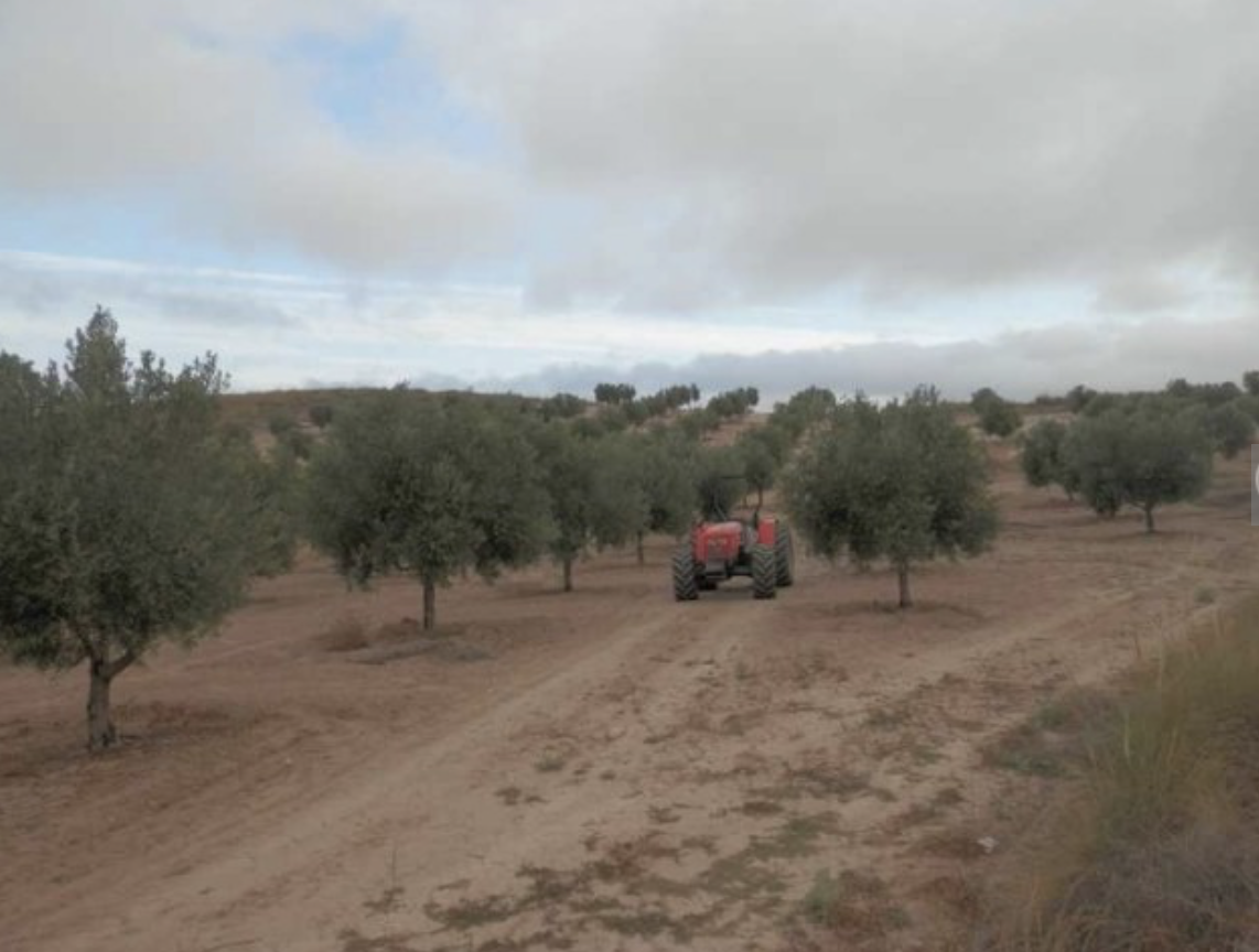 Farm Property in Cullar, Spain, JLCU01