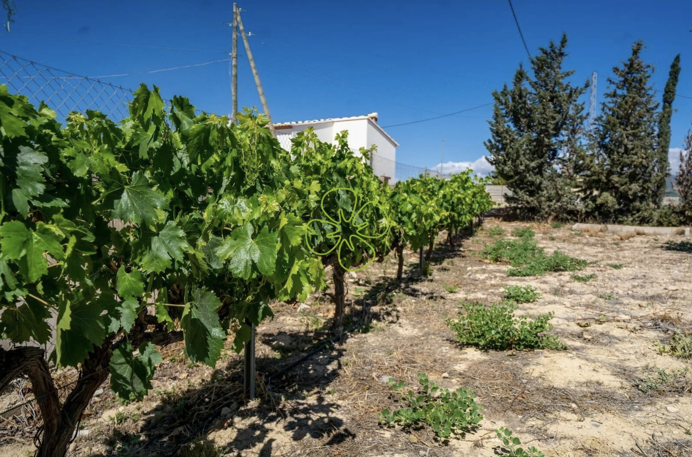 Cortijo Paz — Country House for sale in Cantoria